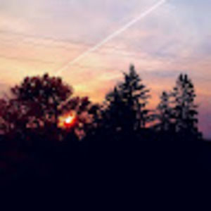 Meet your Posher, Florence